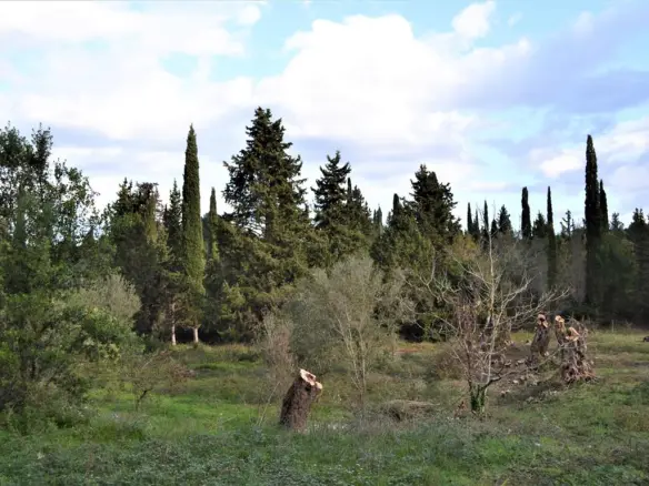 Land In Corfu, Greece (65 M²)