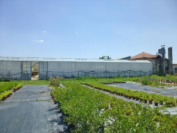 Business In Greece (4.800 M²)