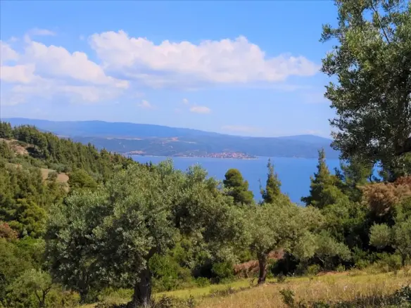 Land In Sithonia, Greece