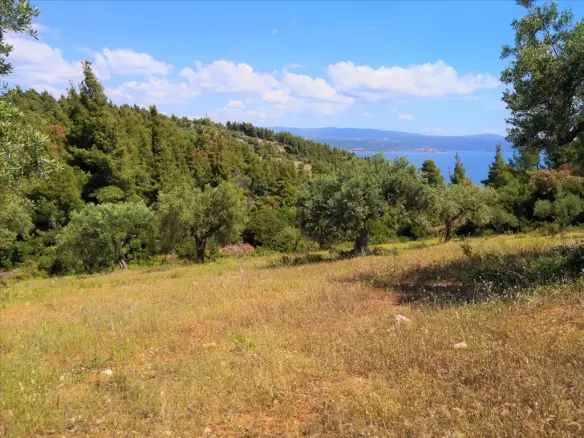 Land In Sithonia, Greece