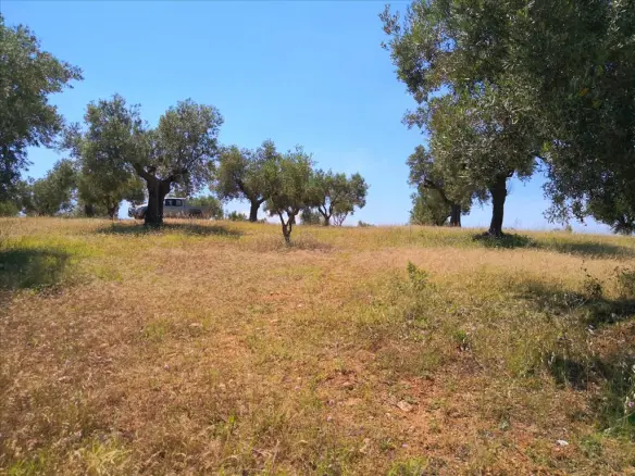 Land In Sithonia, Greece