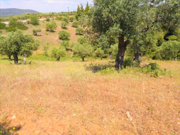 Land In Sithonia, Greece