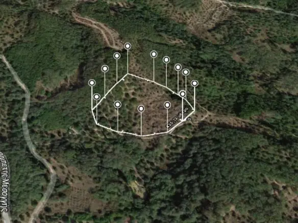 Land In Corfu, Greece