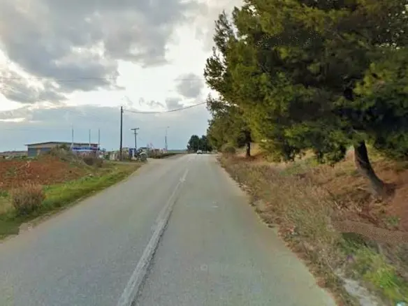 Land In Kassandra, Greece