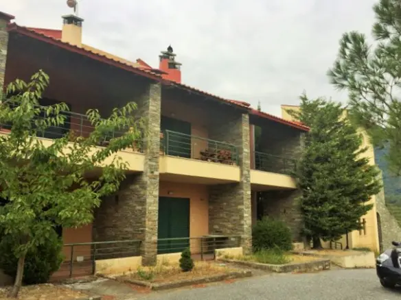 Business In Vegoritida, Greece (175 M²)