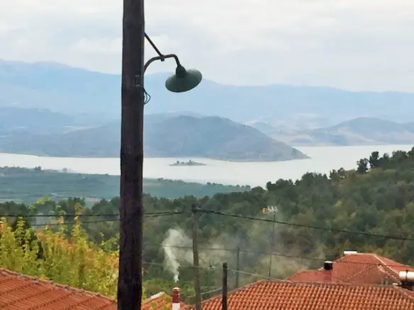 Business In Vegoritida, Greece (175 M²)