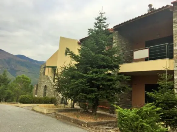 Business In Vegoritida, Greece (175 M²)