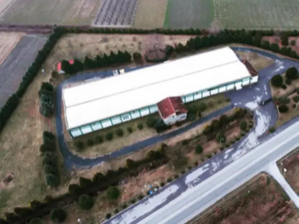 Business In Aridaia, Greece (3.240 M²)