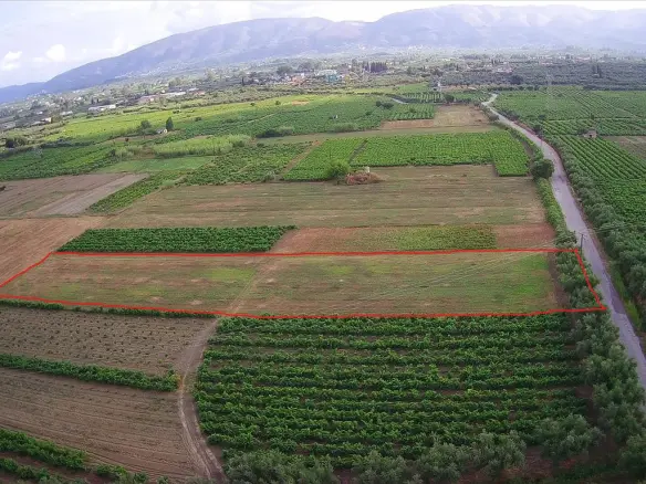 Land In Greece