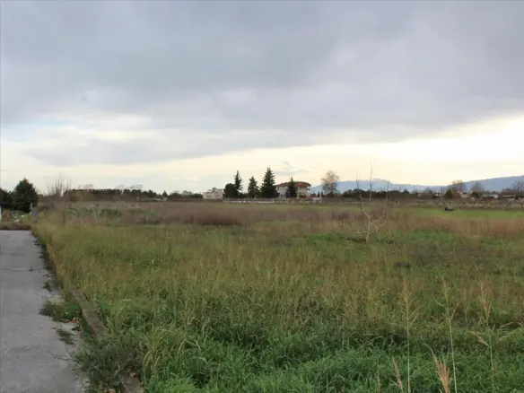 Land In Katerini, Greece