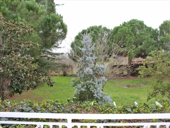 5-bedroom Detached House In Katerini, Greece (372 M²)