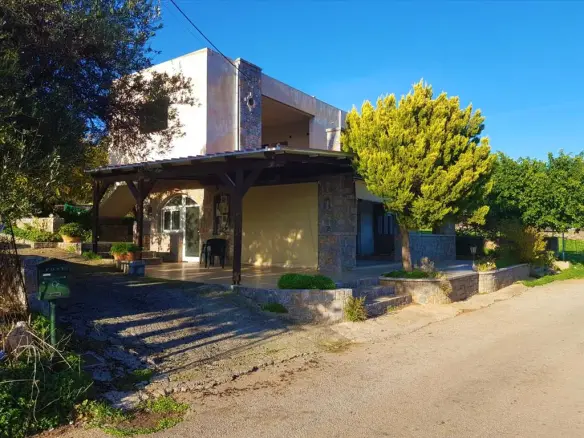 Business In Neapoli, Greece (273 M²)