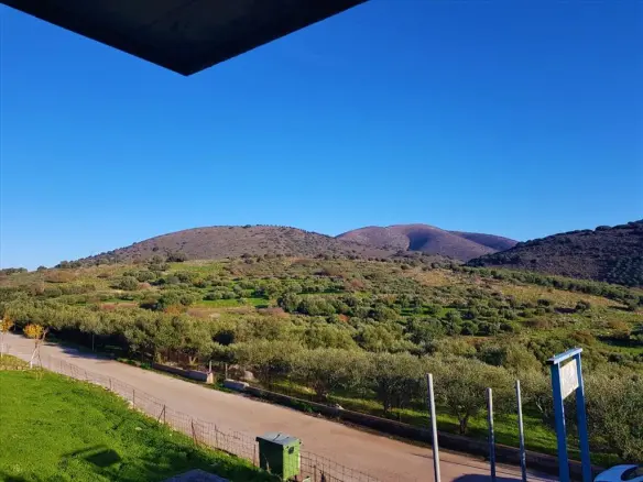 Business In Neapoli, Greece (273 M²)