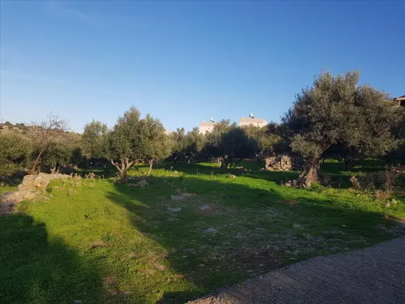 Land In Neapoli, Greece