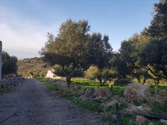 Land In Neapoli, Greece