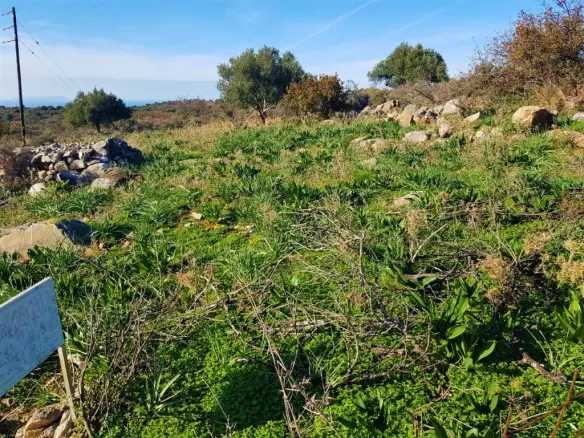 Land In Neapoli, Greece