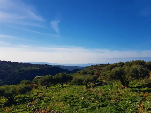 Land In Neapoli, Greece