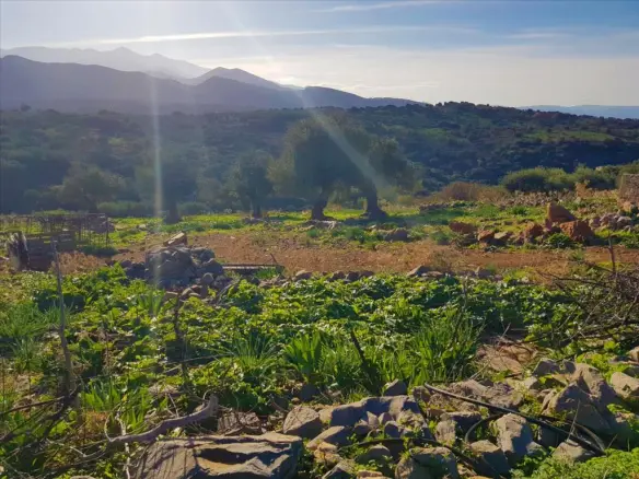 Land In Neapoli, Greece