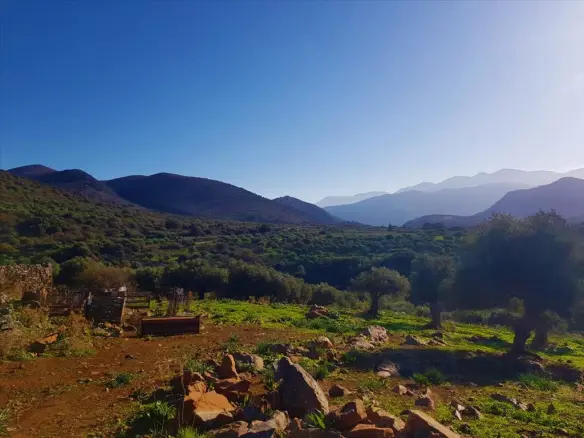 Land In Neapoli, Greece
