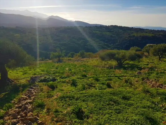 Land In Neapoli, Greece