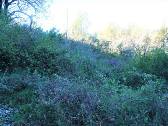 Land In Corfu, Greece
