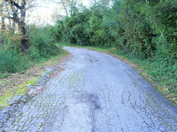 Land In Corfu, Greece