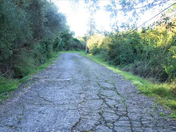 Land In Corfu, Greece