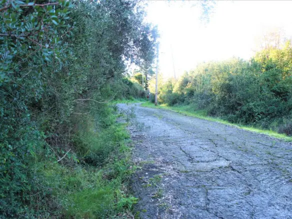 Land In Corfu, Greece