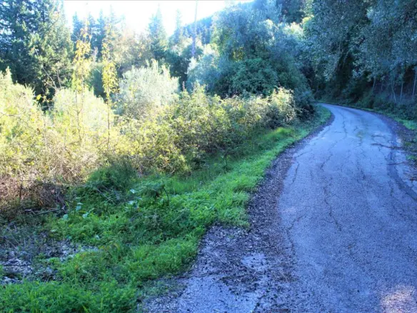 Land In Corfu, Greece
