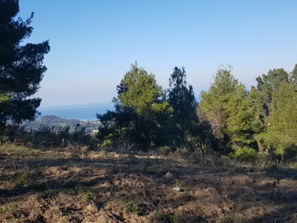 Land In Kassandra, Greece