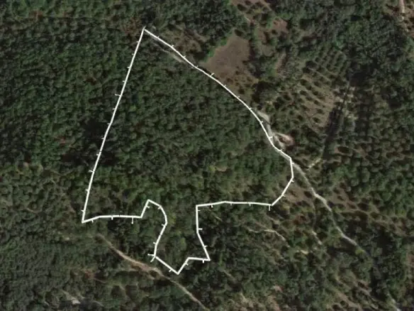 Land In Corfu, Greece