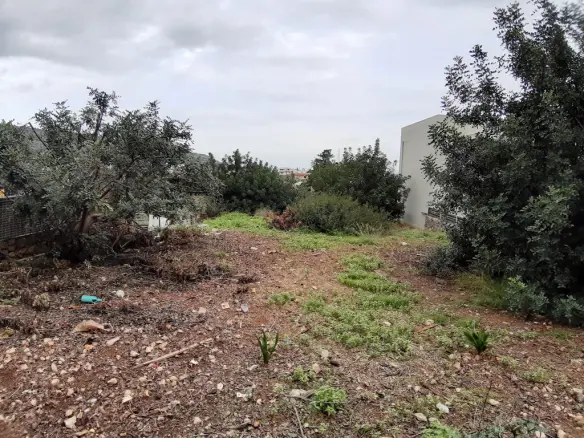 Land In Mallia, Greece