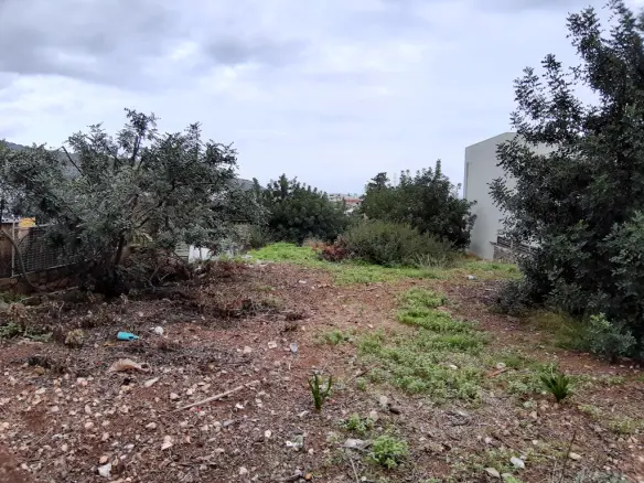 Land In Mallia, Greece