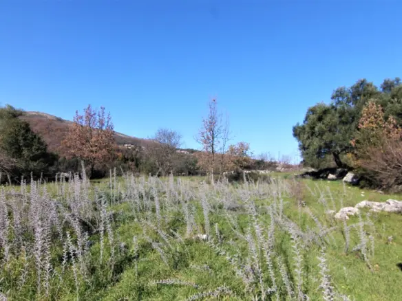 Land In Corfu, Greece