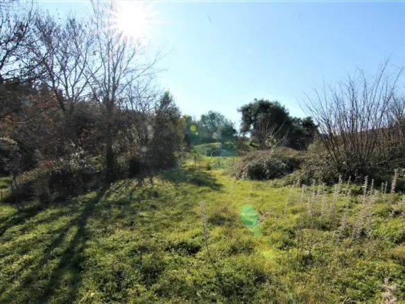 Land In Corfu, Greece