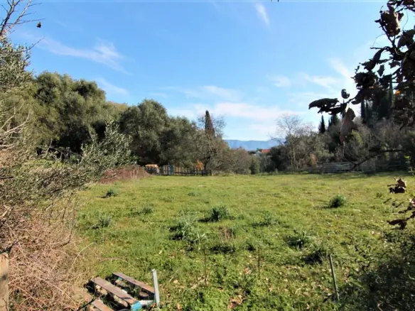 Land In Corfu, Greece