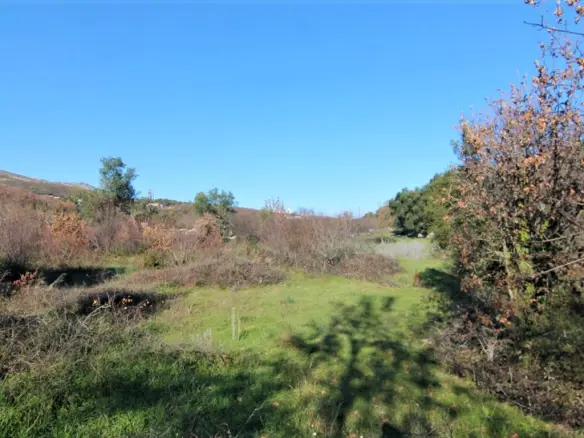 Land In Corfu, Greece