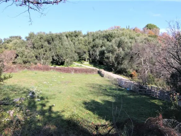 Land In Corfu, Greece