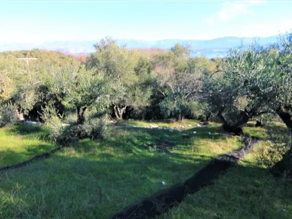 Land In Corfu, Greece