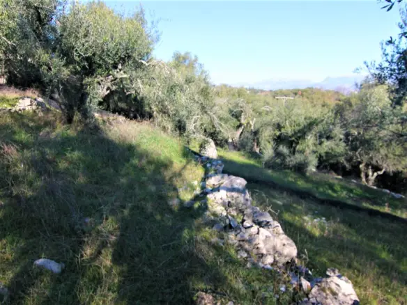 Land In Corfu, Greece