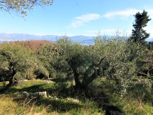 Land In Corfu, Greece