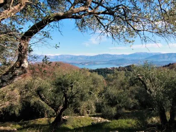 Land In Corfu, Greece