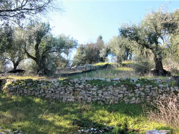 Land In Corfu, Greece