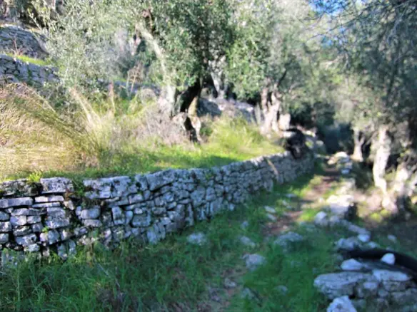 Land In Corfu, Greece