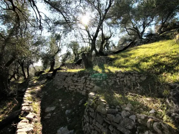 Land In Corfu, Greece