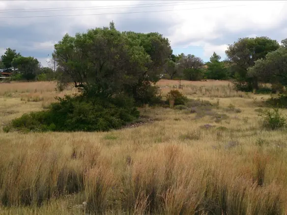 Land In Poligiros, Greece