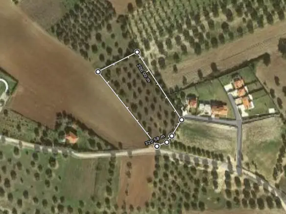 Land In Kassandra, Greece