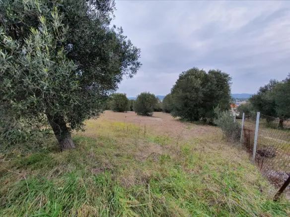 Land In Kassandra, Greece