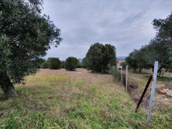 Land In Kassandra, Greece