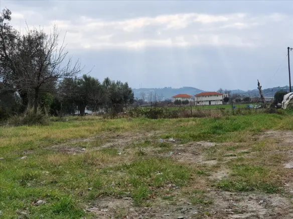 Land In Kassandra, Greece